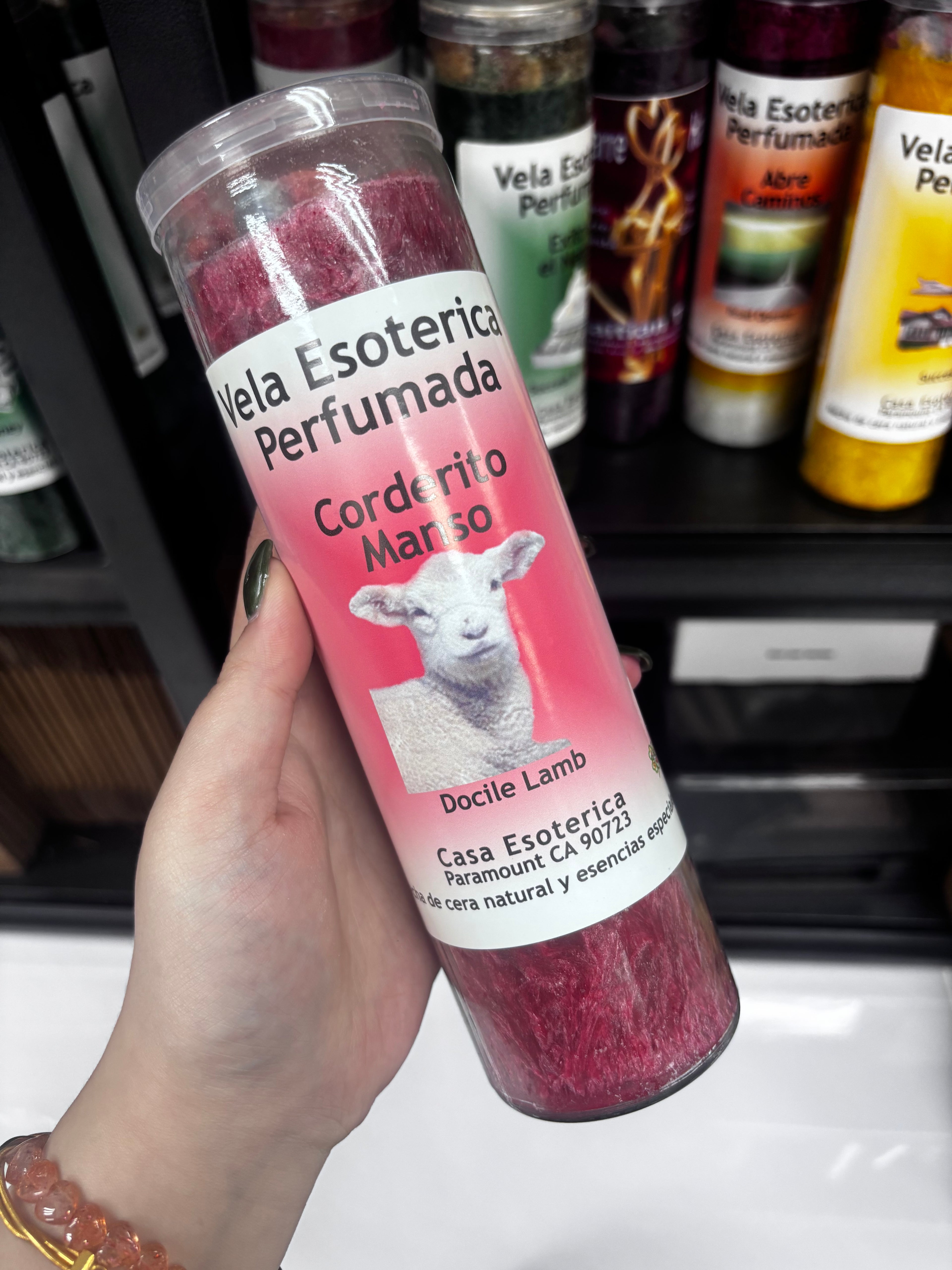 Indio綿羊